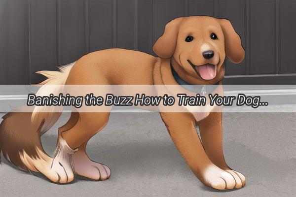 Banishing the Buzz How to Train Your Dog to Love the Fan